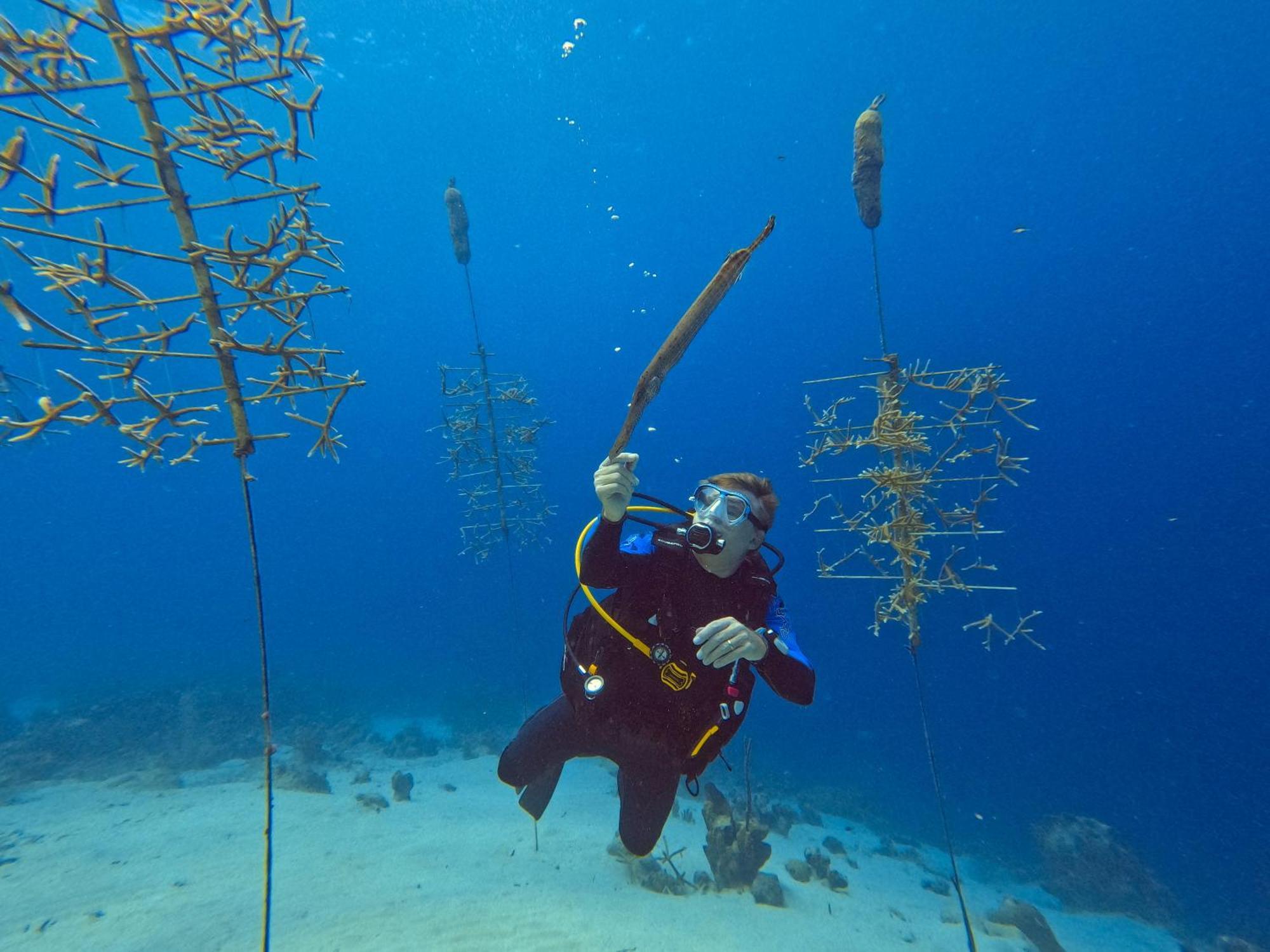 Finisterre Curacao Villa Westpunt Eksteriør billede
